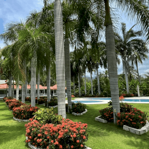 casa vacacional santa marta